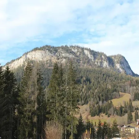 Apartment Nahe Skilift & Pisten