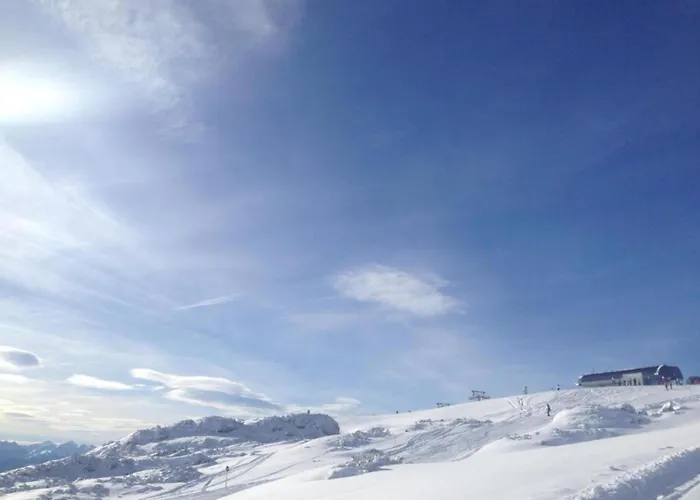 Nahe Skilift & Pisten 公寓