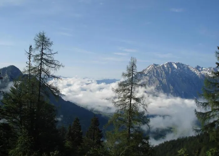 Nahe Skilift & Pisten 公寓 陶普利茨